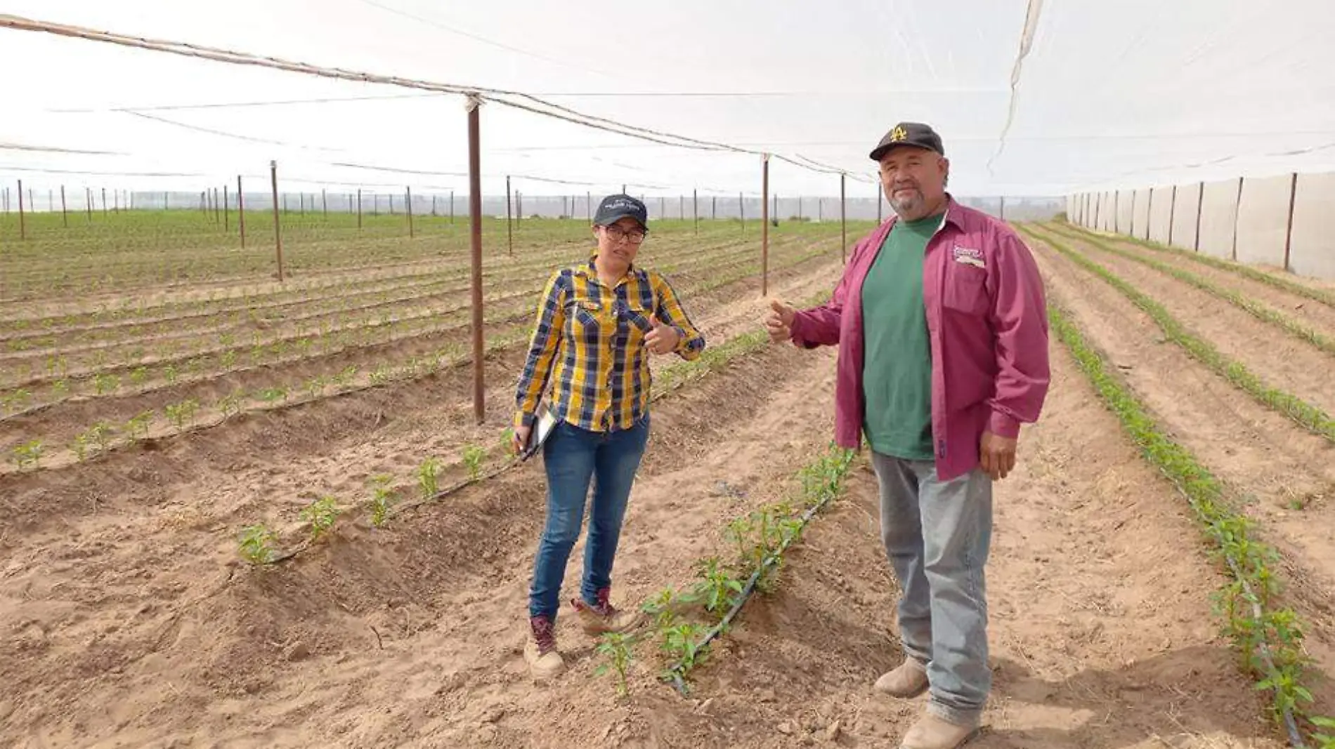 Teresita De Jesus Valentin Vazquez Valle Vizcaino